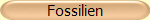 Fossilien